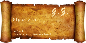 Gipsz Zia névjegykártya